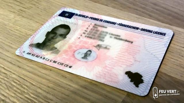 Conducteurs déchus _ attention