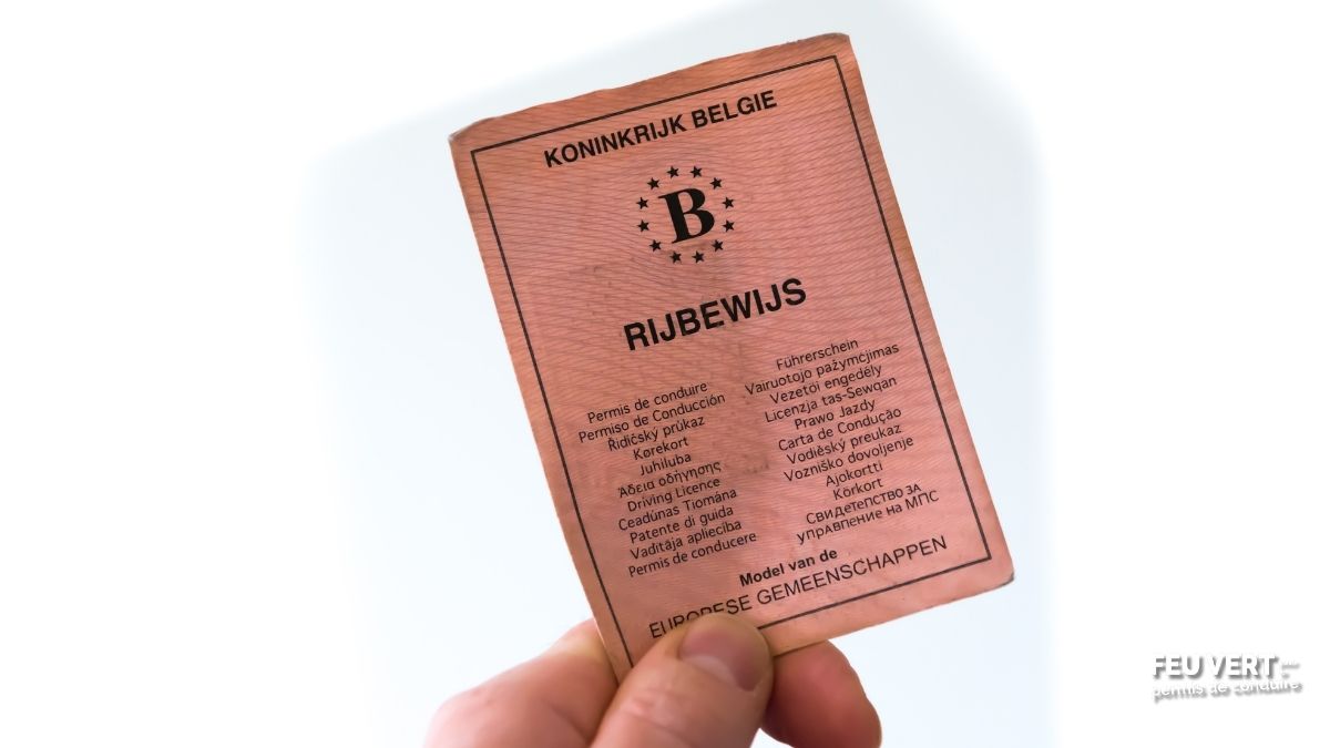 Permis flandre